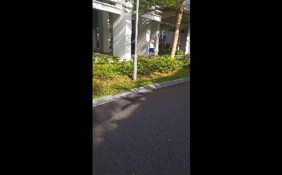 COBRA SPOTTED AT 38A BENDEMEER (VIDEO)