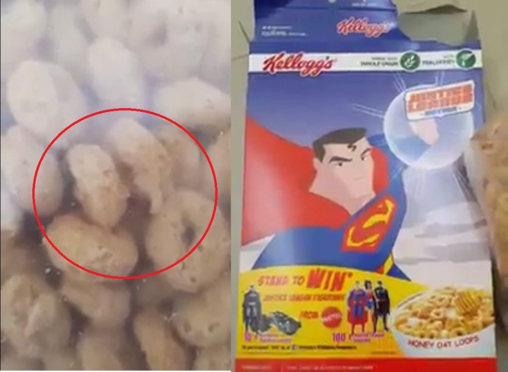 WORMS IN KELLOGG'S CEREAL FROM SHENG SIONG
