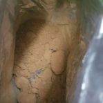 LIZARD FOUND IN MILO POWDER IN MALAYSIA. BEWARE! 5