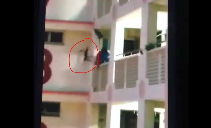 SPCA FAIL WANT SAVE CAT END UP THROW CAT FROM 11TH FLOOR