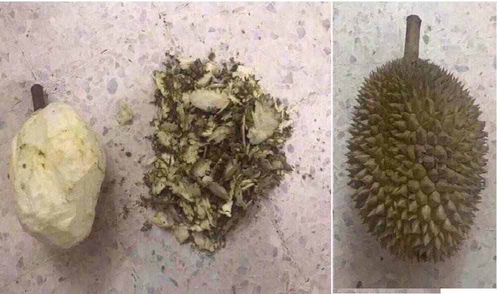 FOREIGNER FRIEND EAT DURIAN LIKE THIS. POWER