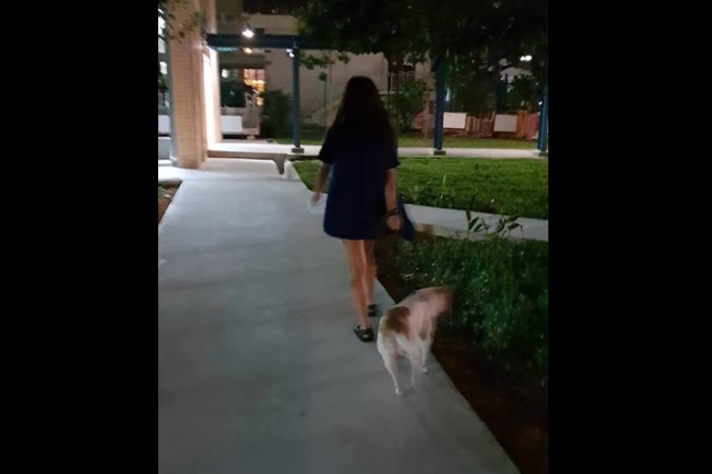 OWNER UNLEASHED DOG TO BITE CAT SAID NOTHING WRONG