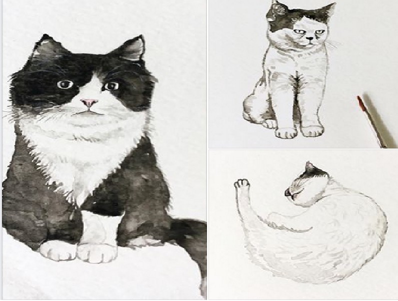 FUND RAISING FOR CAT WELFARE SOCIETY.