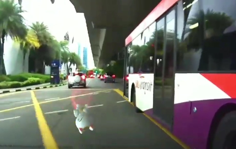 NETIZEN FEELS PUBLIC BUS CHANGE LANE WITHOUT ENSURING SAFETY