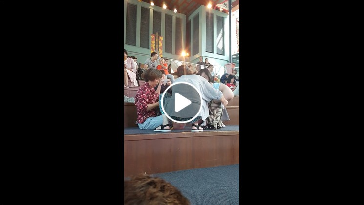 PRC FAMILY AT SENTOSA LET KID PEE ON FLOOR