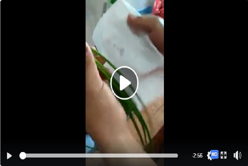 (NON-SG) CHINA VEGE. DYED WITH COLOUR TO MAKE IT LOOK FRESH