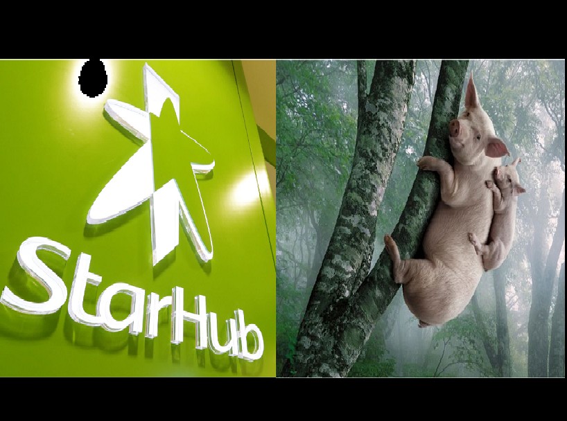 APPOINTMENT WITH STARHUB? GET PIGS TO CLIMB TREE EASIER