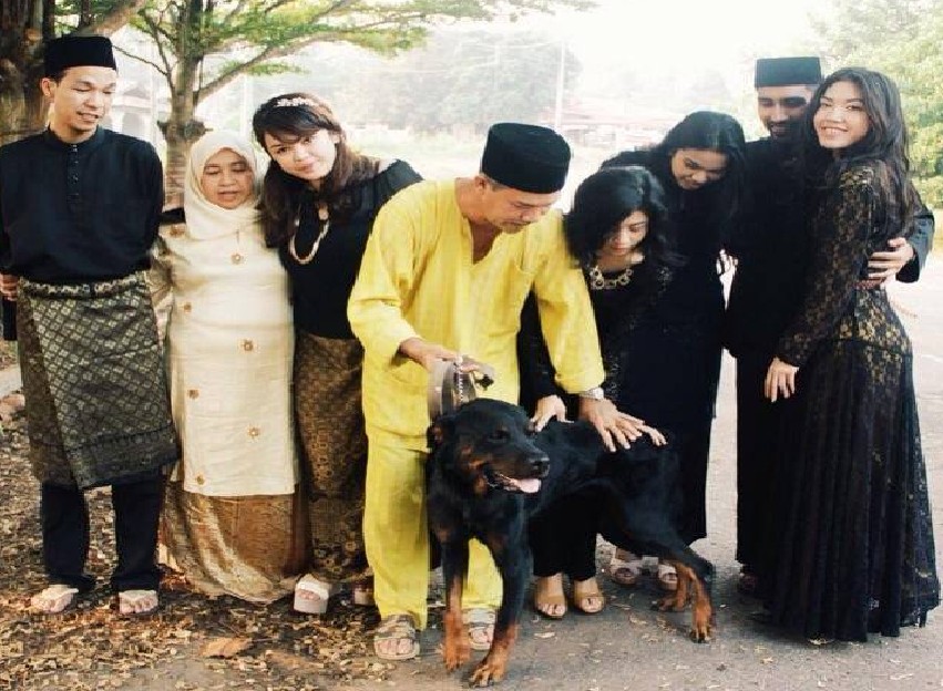 are muslims allowed to touch dogs