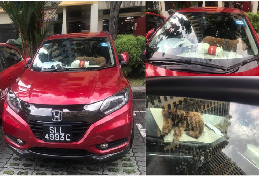 DOG LOCK IN CAR WHILE OWNER EATING BREAKFAST AT KOPITIAM