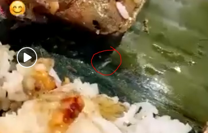WORMS FOUND IN PREPACKED NASI LEMAK @ WOODLANDS