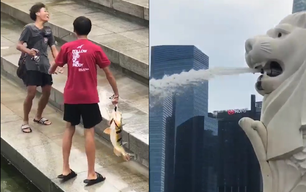 BOYS FISHING AT MERLION PARK. BIG SIA THE FISH