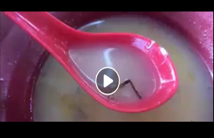 COCKROACH LEGS FOUND IN NOODLE SOUP @ BUANGKOK