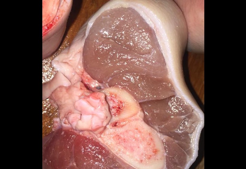 PORK BOUGHT FROM NTUC TURNS OUT “NOT FRESH”