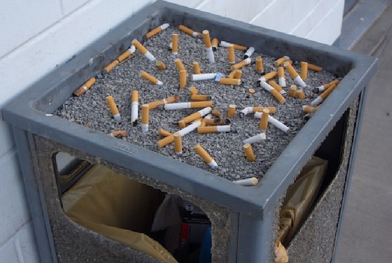 MP WANT TO BAN SMOKING IN OWN HOME. WTF?