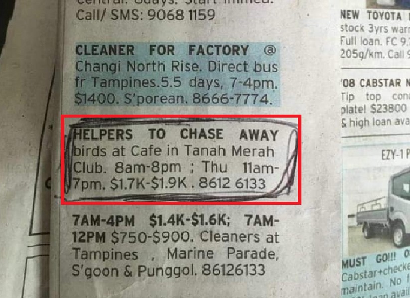 LOOKING FOR A JOB? CHASE BIRDS AND GET PAID $1900!