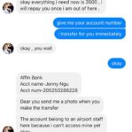 'PILOT' SCAMMER ON FACEBOOK GOT TROLLED HARD 11