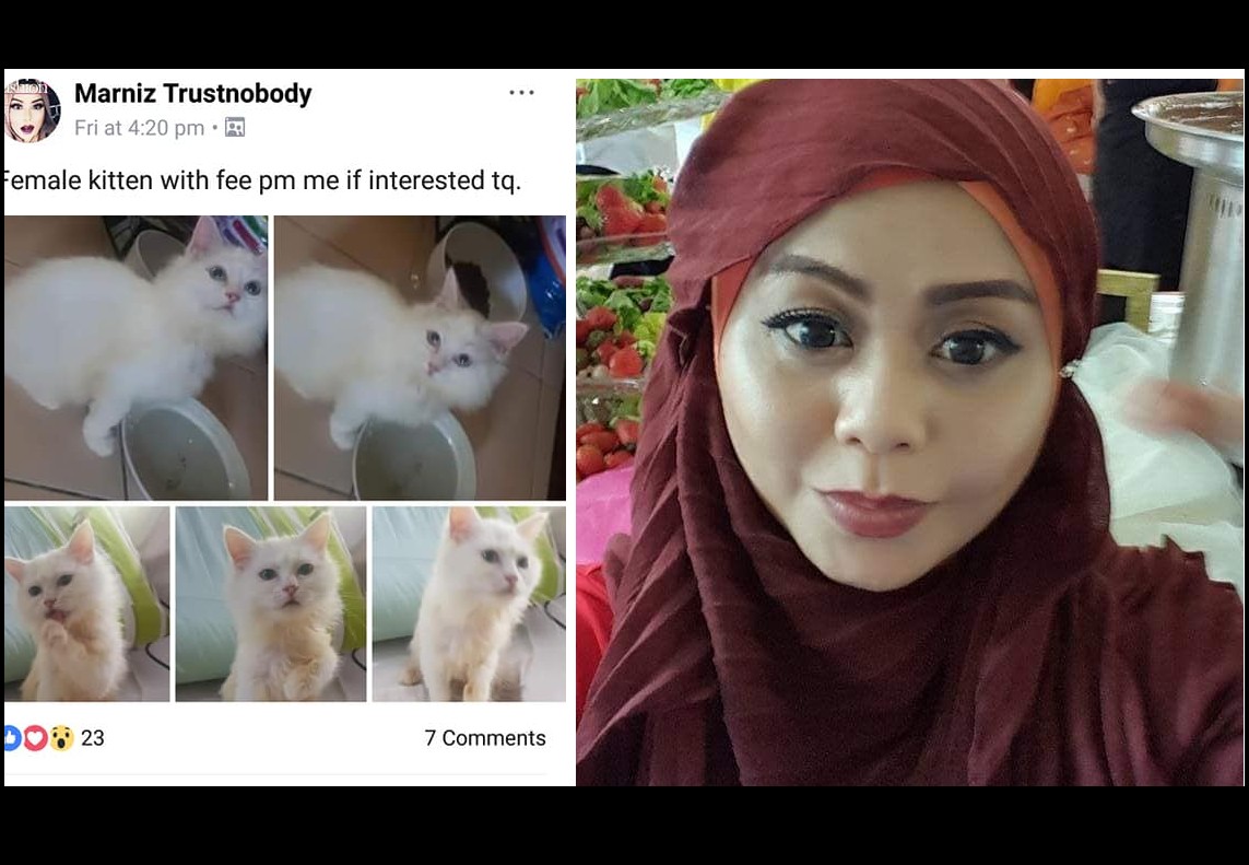 WOMAN ADOPTS CAT AND SELLS IT FOR A PROFIT. EVIL