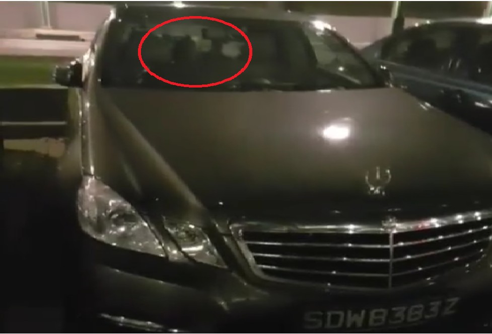 DOG OWNER LOCK DOG IN CAR! WINDOWS CLOSED!!!