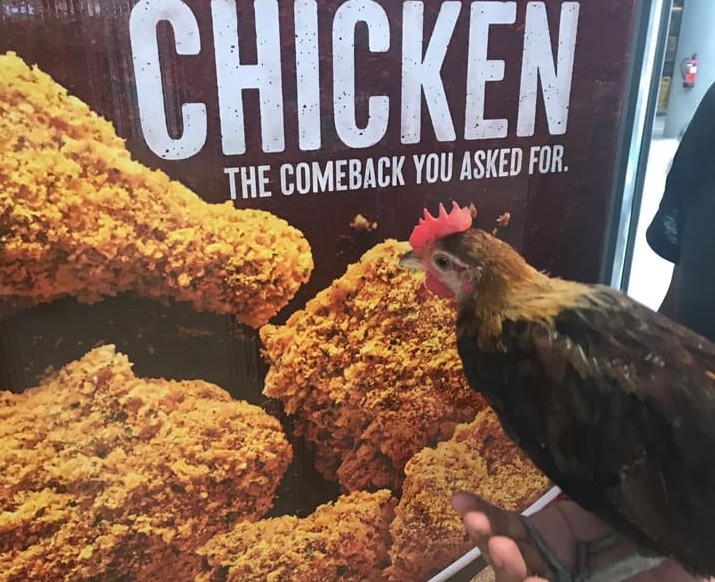 KFC CUSTOMER DENIED ENTRY BECAUSE OF PET CHICKEN.