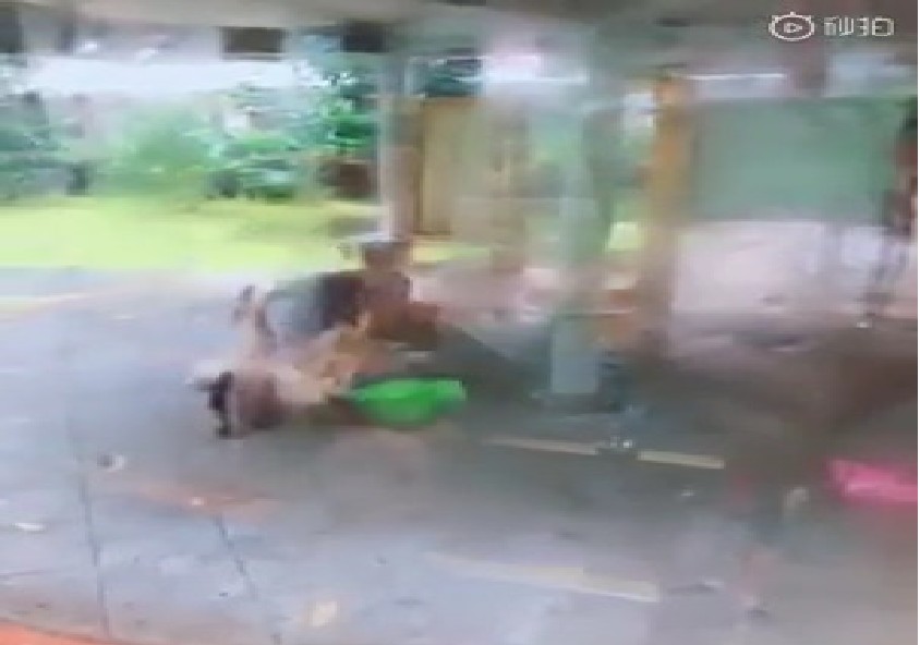 HUSBAND BEAT WIFE AT JURONG BUS STOP!