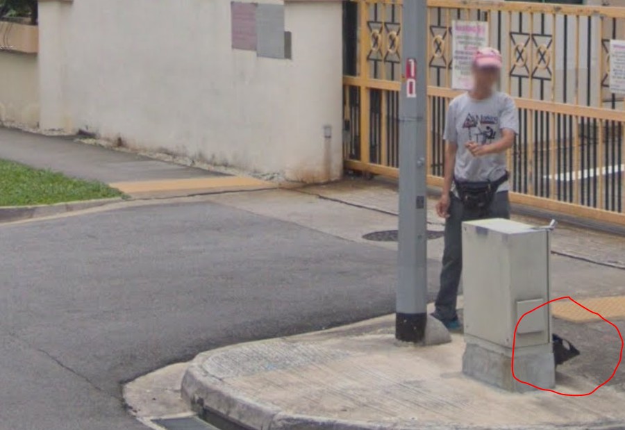 GOOGLE MAPS CAUGHT CONTRABAND CIG PEDDLERS @ GEYLANG