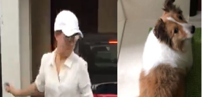 PLATINIUM DOGS CLUB OWNER ARRESTED!!! FINALLY!!!