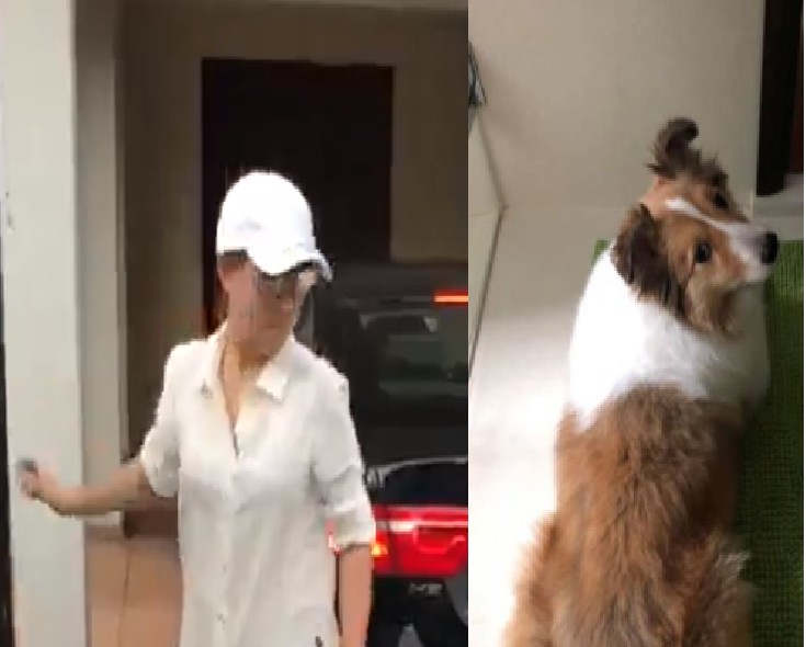 PLATINIUM DOGS CLUB OWNER ARRESTED!!! FINALLY!!!