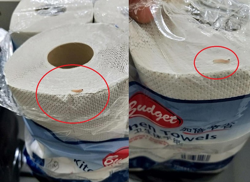 PAPER TOWEL HAVE WORM? HELLO! WHERE IS THE CONTROL