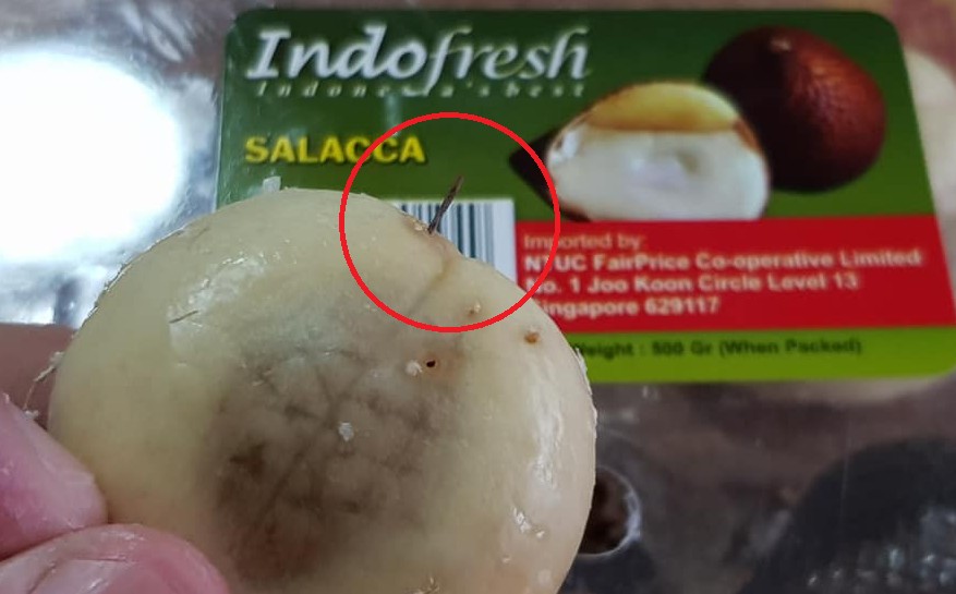 SHARP OBJECT FOUND IN FRUIT FROM NTUC! WHERE IS THE QC?