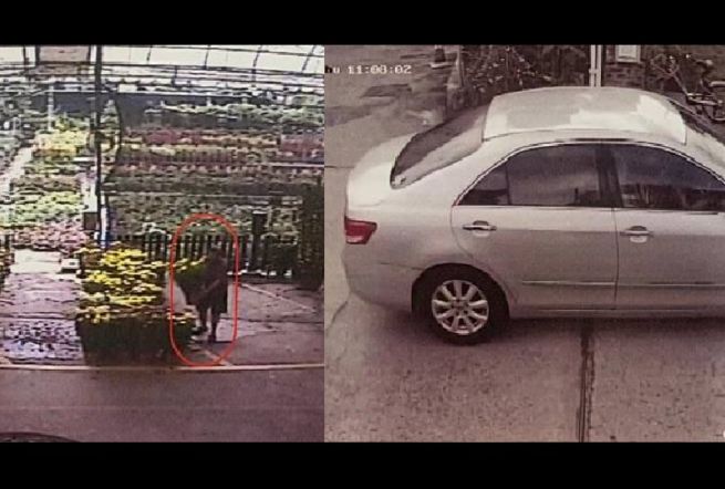 COUPLE STOLE FLOWERS FROM SHOP! LOOKING FOR THE THIEVES!