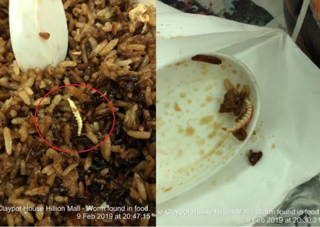 ORDERED AONE CLAYPOT HOUSE FOUND WORMS!