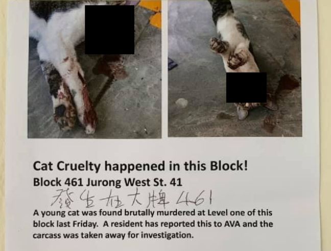 CAT KILLER AT JURONG WEST. PLEASE HELP SHARE THIS!