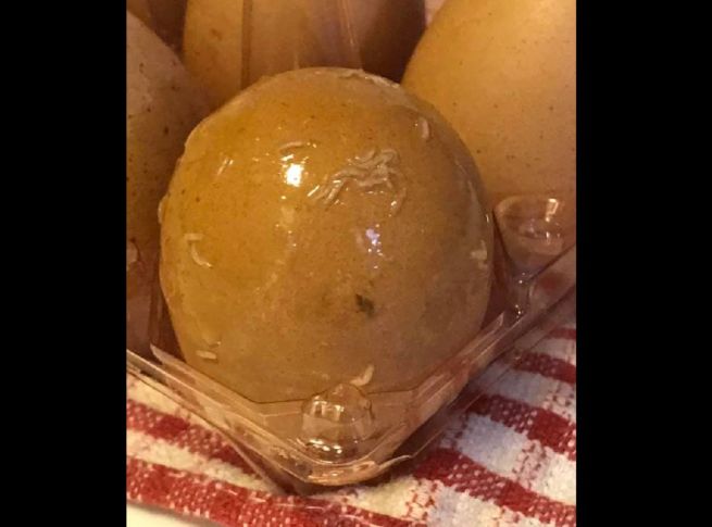 WOMAN BOUGHT EGGS FROM NTUC WITH “EXTRA PROTEIN”