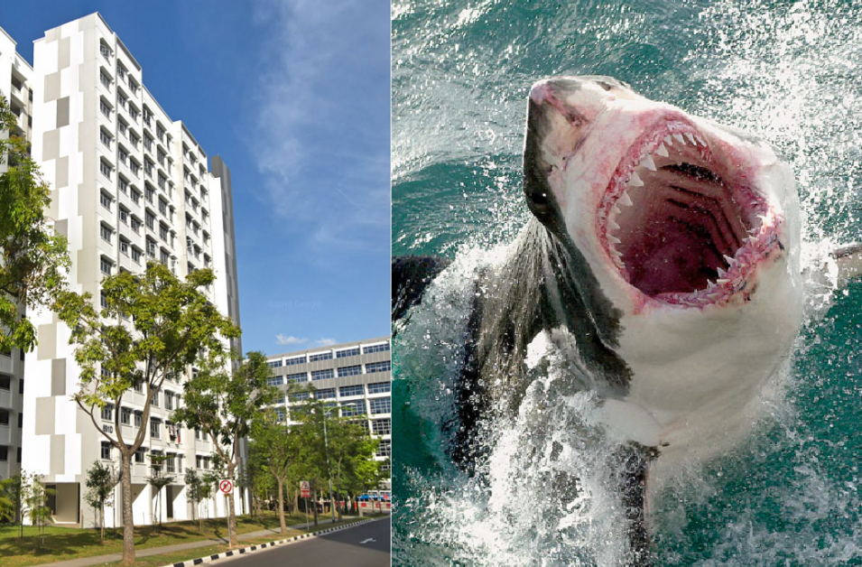 18-YEAR-OLD ARRESTED FOR LOANSHARK ACTIVITY @ WOODLAND