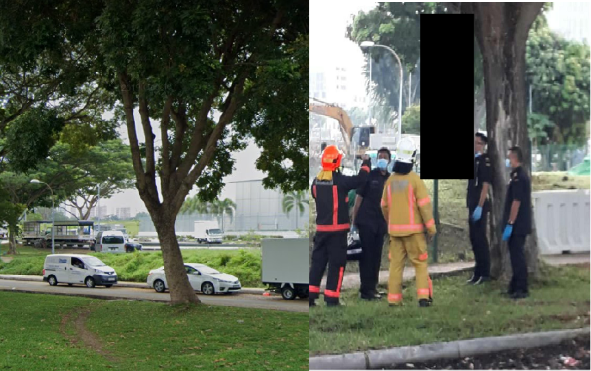 29 Y.O MAN FOUND HANGING FROM TREE AT TAMPINES AREA