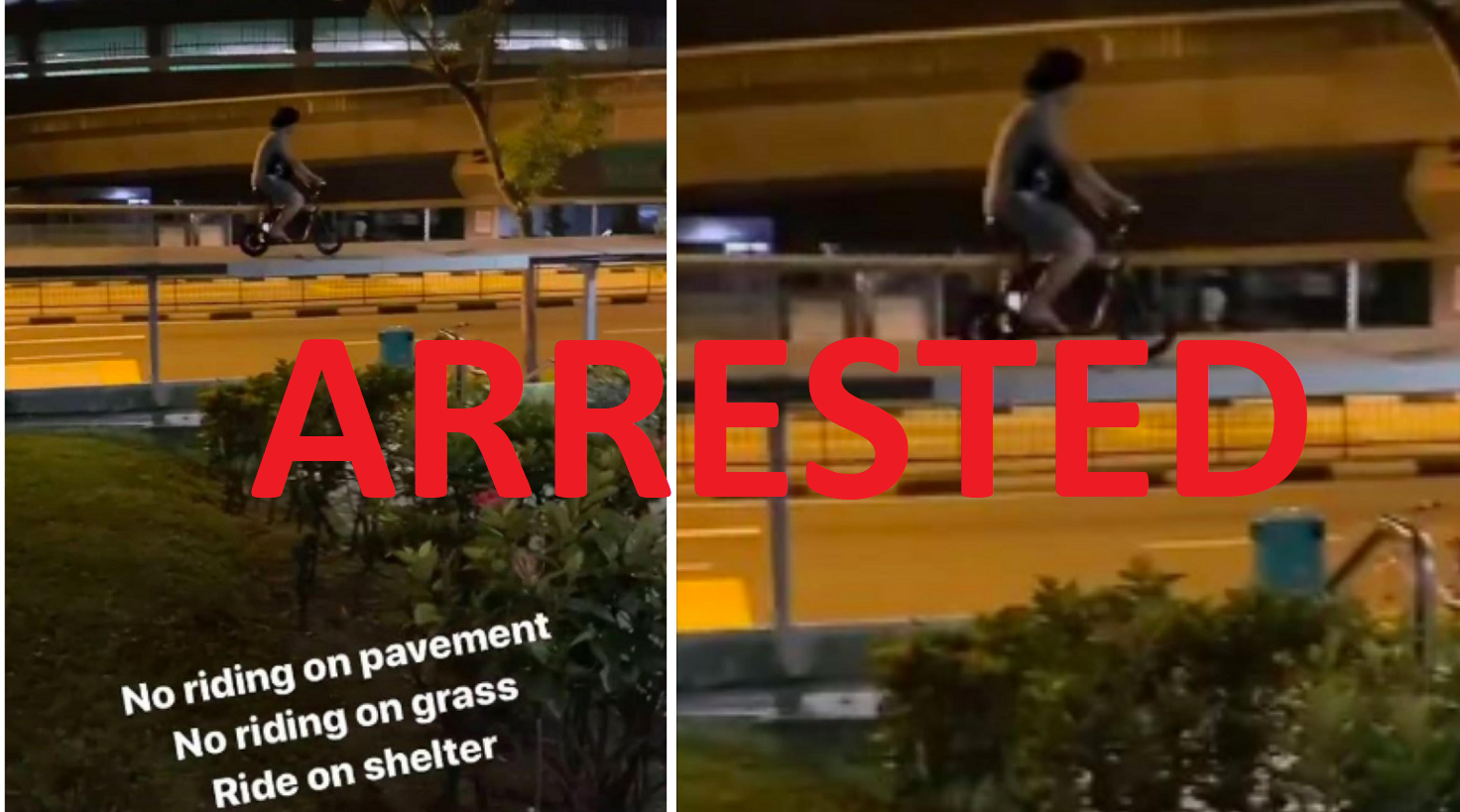 PMD RIDER ON SHELTER, ARRESTED 1 DAY LATER.