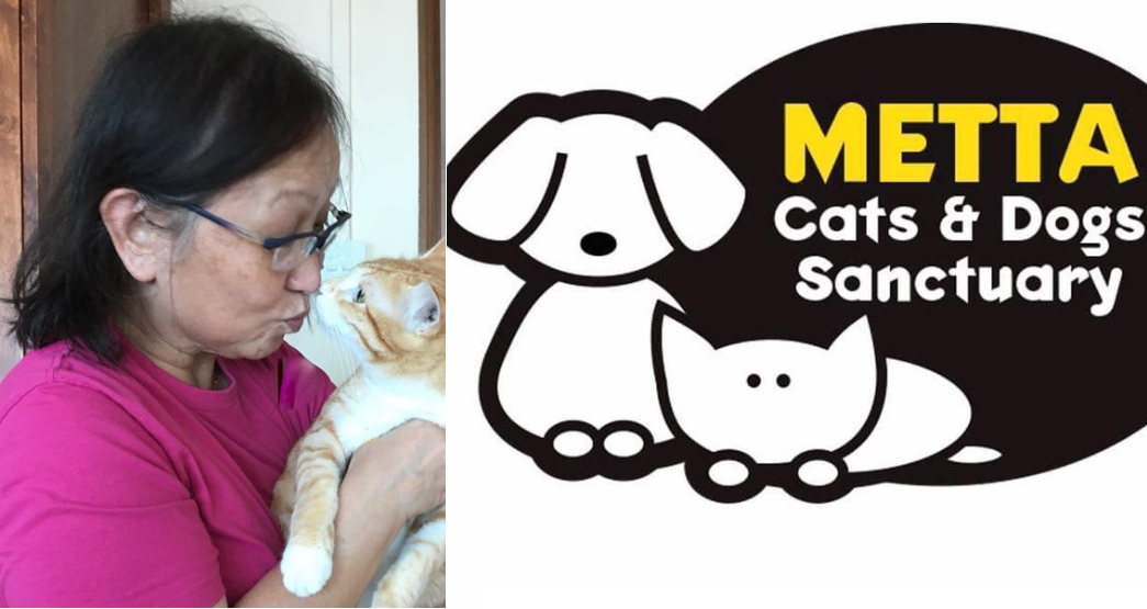 LOCAL HEROINE PASSED AWAY DEDICATED HER LIFE TO SAVING ANIMALS