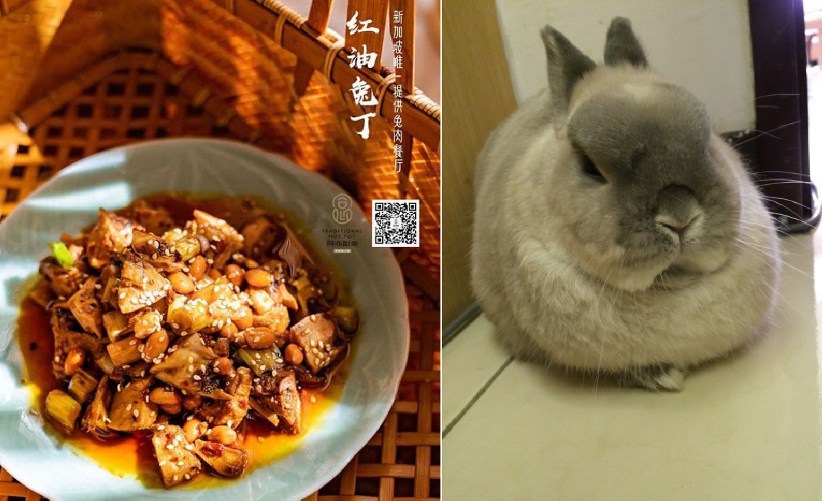 CLARK QUAY RESTAURANT SELLS RABBIT MEAT. NETIZENS PETITION AGAINST IT