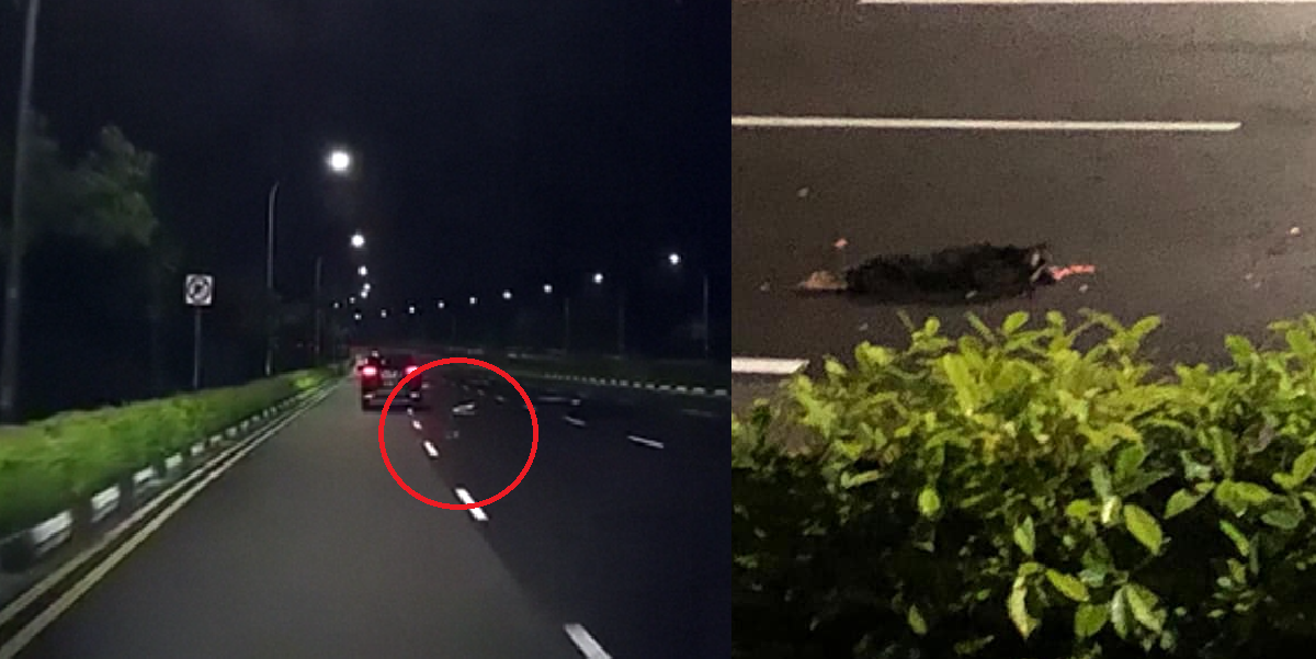 HEARTLESS DRIVER THROWS DOG OUT OF MOVING VEHICLE AT PASIR RIS