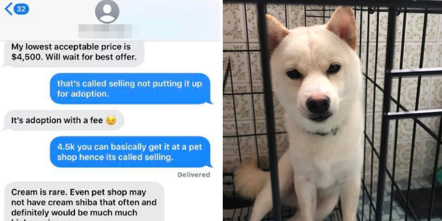 SHIBA INU OWNER POST ADOPTION FB POST WITH A S$5,000 FEE