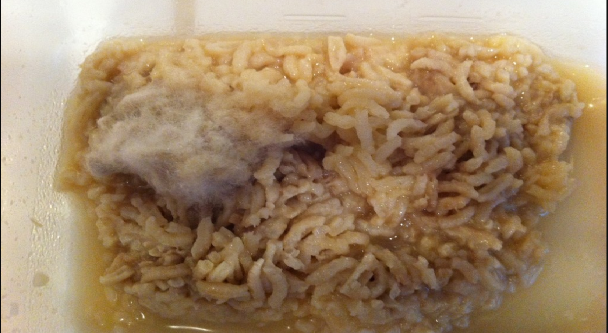 MAID MIXED MENSES BLOOD AND URINE INTO RICE, SERVED TO FAMILY