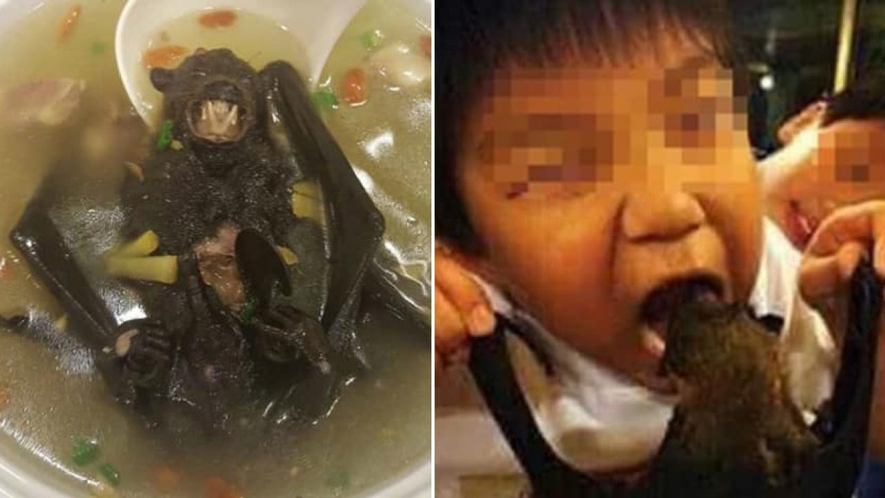 WUHAN DEATH JUMPS TO 106, ADDITIONAL 1300 CORONA CASES IN CHINA DISCOVERED