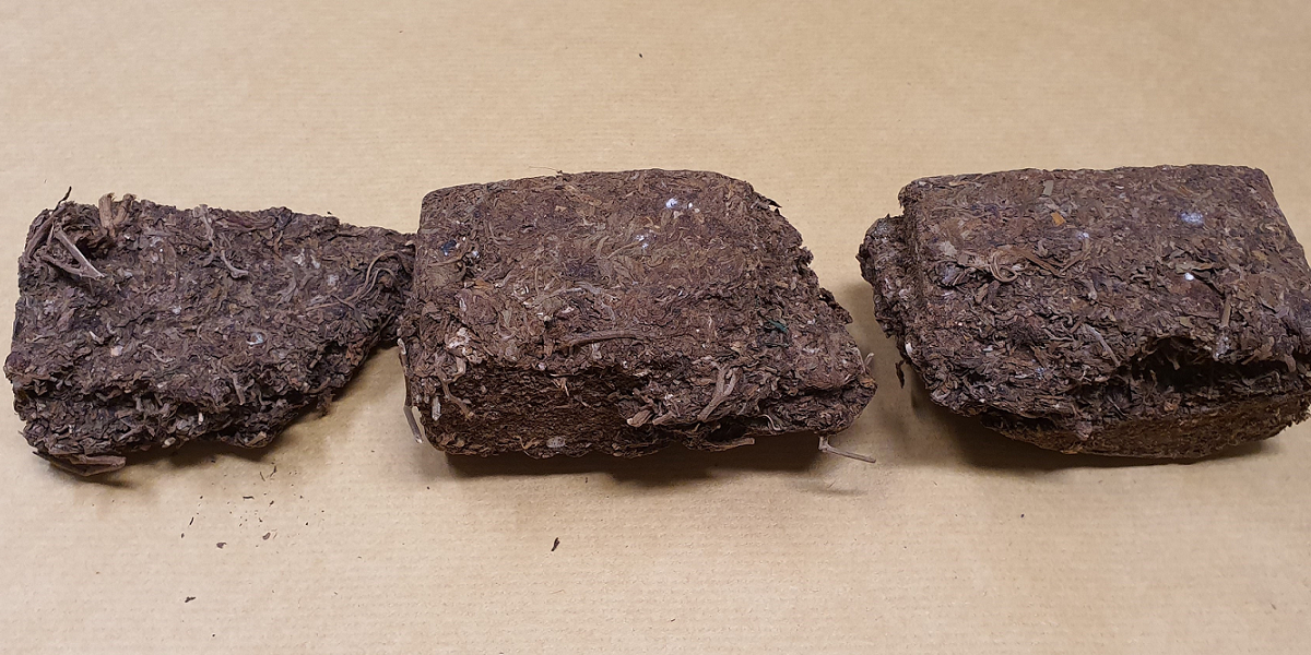 14 YEAR OLD BOY ARRESTED BY CNB FOR SUSPECTED DRUG ABUSE