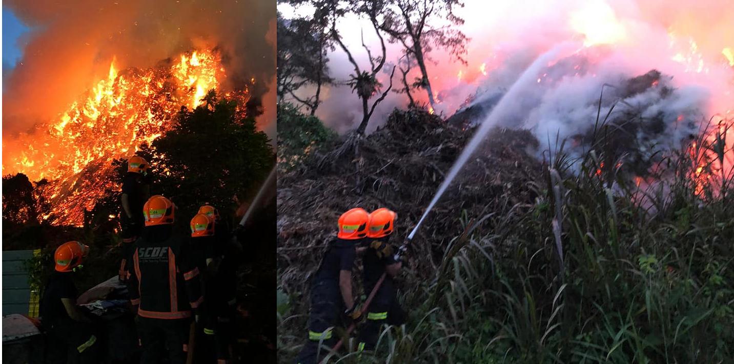 50 FIREFIGHTERS FIGHT HUGE FIRE AT CHOA CHU KANG, SIZE OF FOOTBALL FIELD