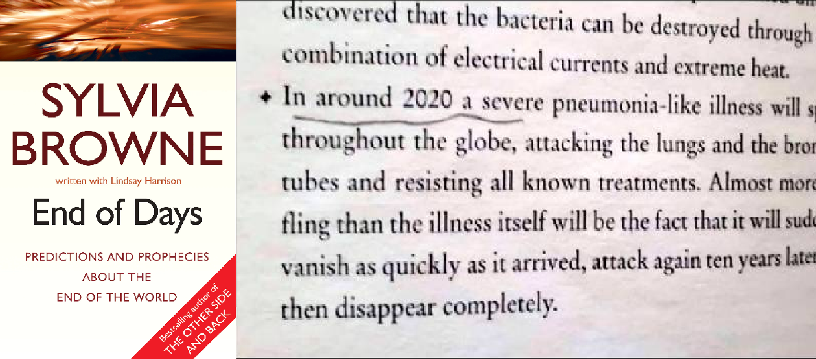 BOOK PUBLISHED 12 YEARS AGO ‘PREDICTED’ THE CORONA VIRUS IN 2020