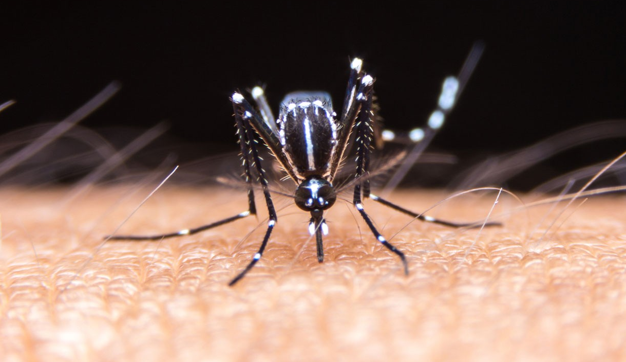 DENGUE FEVER CASES EXCEED 4000, CASES DOUBLED AS PER SAME PERIOD LAST YEAR