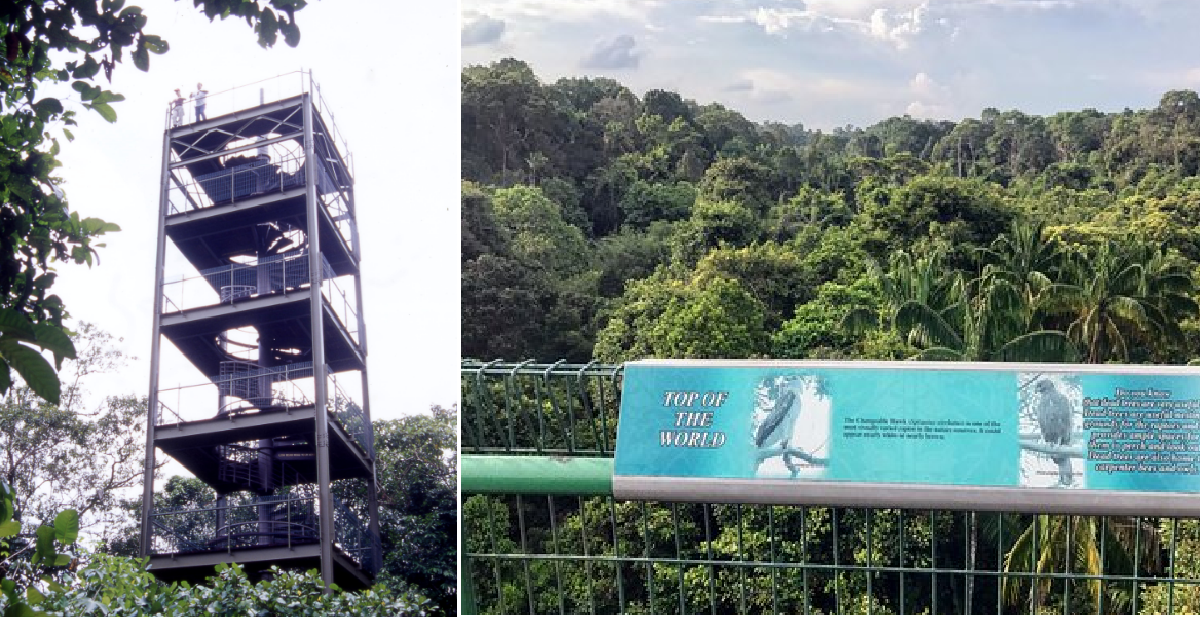 MAN FOUND DEAD AT JELUTONG TOWER NEAR MACRITCHIE RESERVOIR