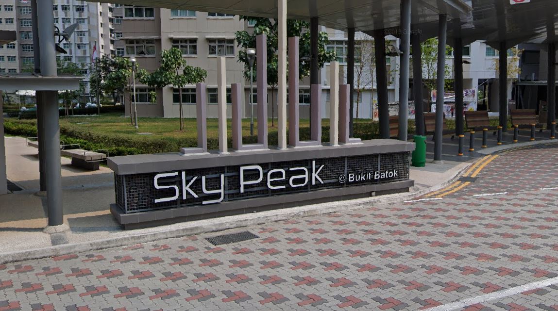 20 YEAR OLD WOMAN FOUND DEAD IN BUKIT BATOK FLAT