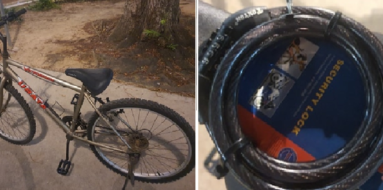 KIND CAROUSELLER LENDS BICYCLE TO RETRENCHED MAN AND EVEN DELIVER IT FOR FREE