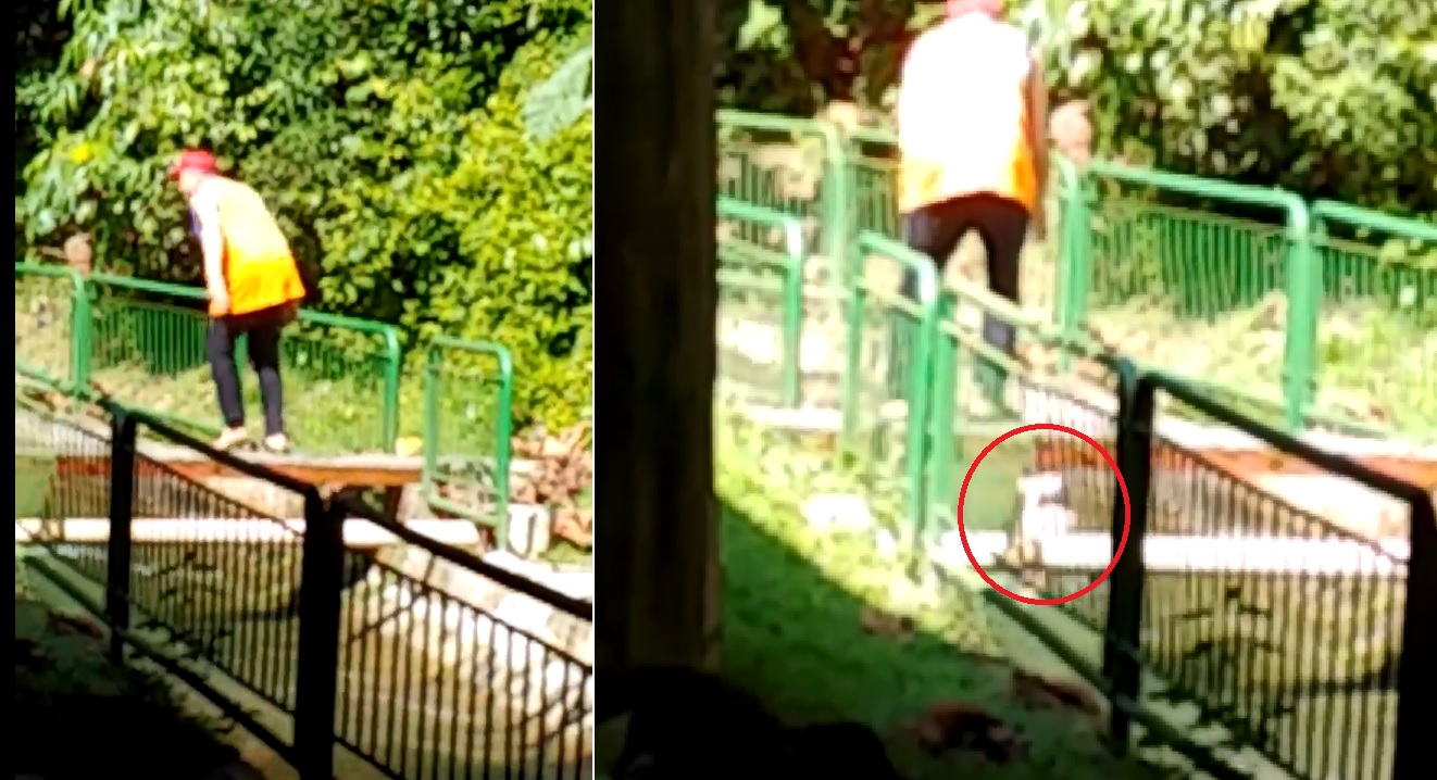 MAN THROWS DOGS INTO THE DRAIN, AVS ALERTED